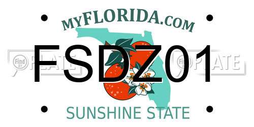 FSDZ01 Florida License Plate