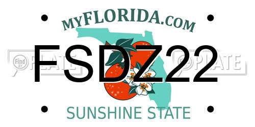 FSDZ22 Florida License Plate