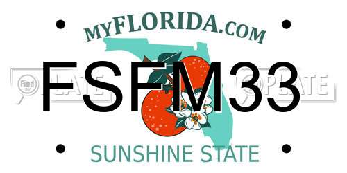 FSFM33 Florida License Plate