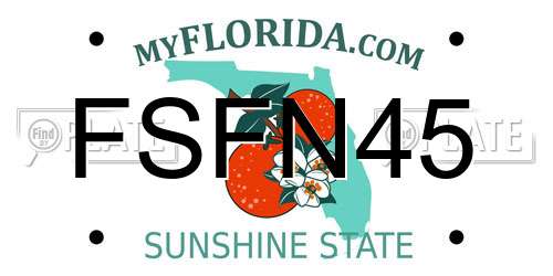 FSFN45 Florida License Plate