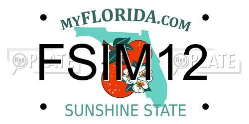 FSIM12 Florida License Plate