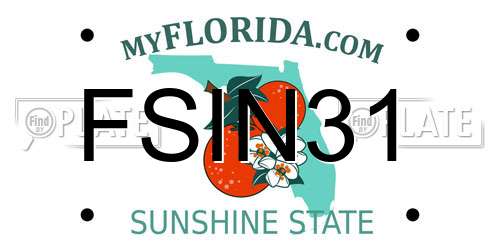FSIN31 Florida License Plate