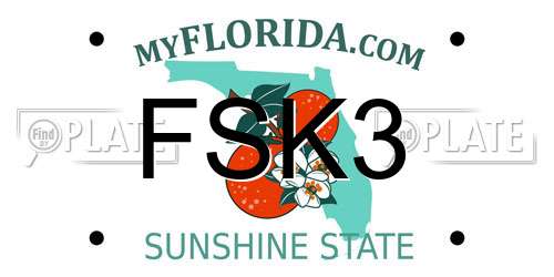 FSK3 Florida License Plate