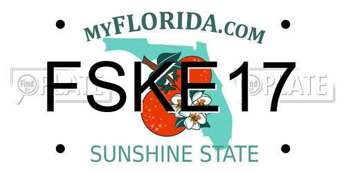 FSKE17 Florida License Plate
