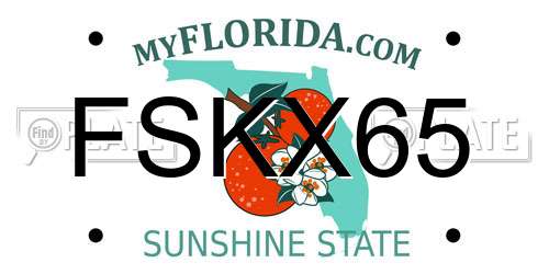 FSKX65 Florida License Plate