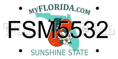 FSM5532 Florida License Plate