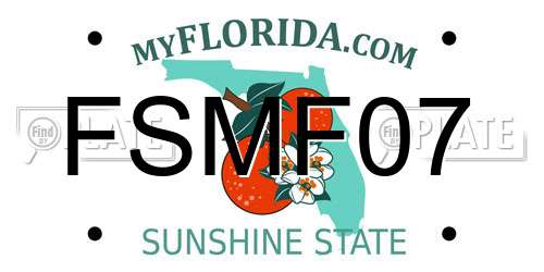 FSMF07 Florida License Plate