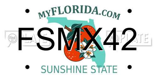 FSMX42 Florida License Plate