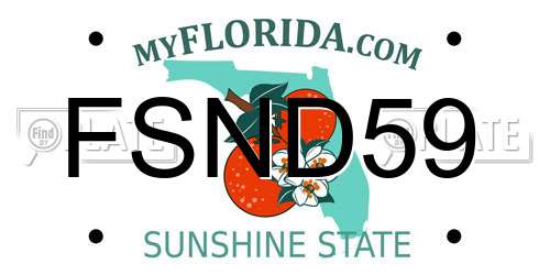 FSND59 Florida License Plate