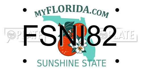 FSNI82 Florida License Plate
