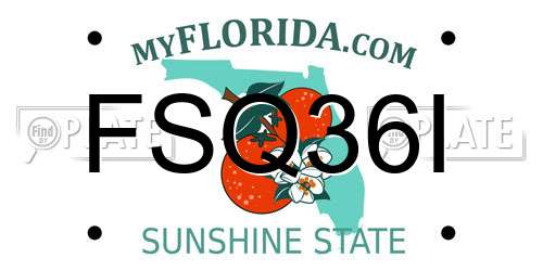 FSQ36I Florida License Plate