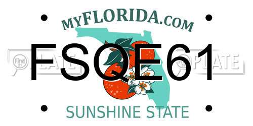 FSQE61 Florida License Plate