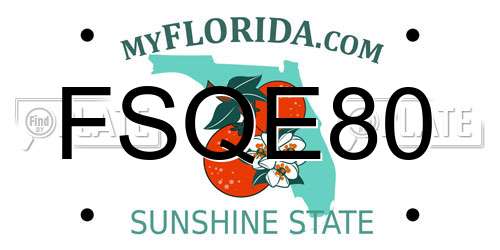 FSQE80 Florida License Plate