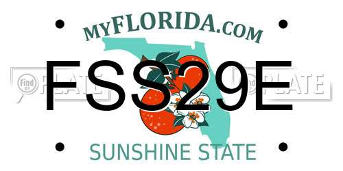 FSS29E Florida License Plate