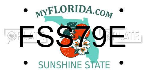 FSS79E Florida License Plate