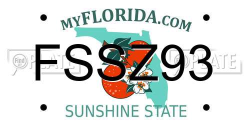 FSSZ93 Florida License Plate