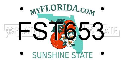FST653 Florida License Plate