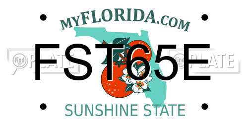 FST65E Florida License Plate