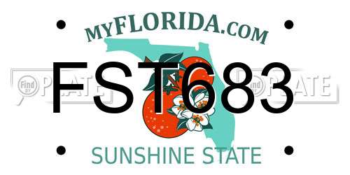 FST683 Florida License Plate