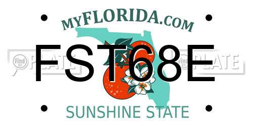 FST68E Florida License Plate