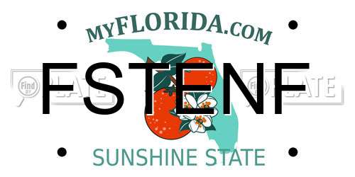 FSTENF Florida License Plate