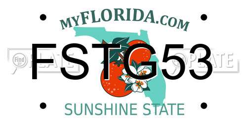 FSTG53 Florida License Plate