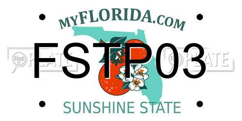 FSTP03 Florida License Plate
