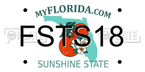 FSTS18 Florida License Plate