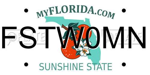 FSTW0MN Florida License Plate