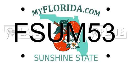 FSUM53 Florida License Plate