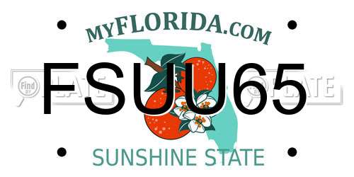 FSUU65 Florida License Plate