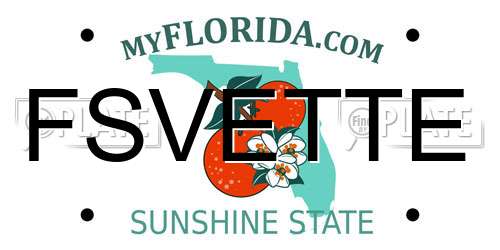 FSVETTE Florida License Plate