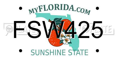 FSW425 Florida License Plate