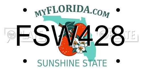 FSW428 Florida License Plate