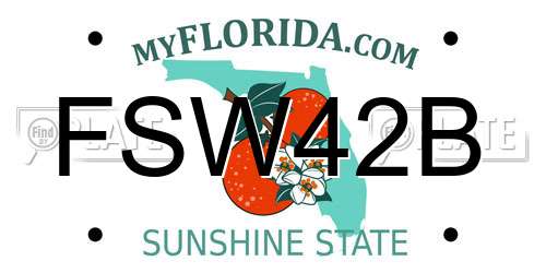FSW42B Florida License Plate