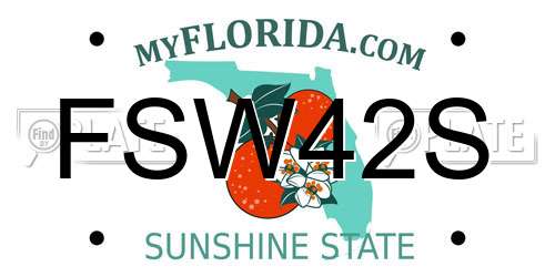 FSW42S Florida License Plate
