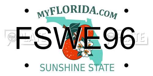 FSWE96 Florida License Plate