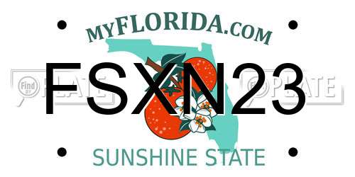 FSXN23 Florida License Plate