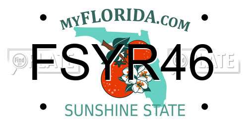 FSYR46 Florida License Plate