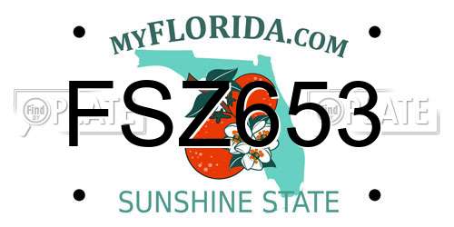 FSZ653 Florida License Plate