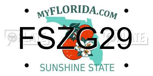 FSZG29 Florida License Plate