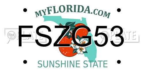 FSZG53 Florida License Plate