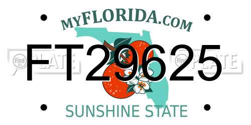 FT29625 Florida License Plate