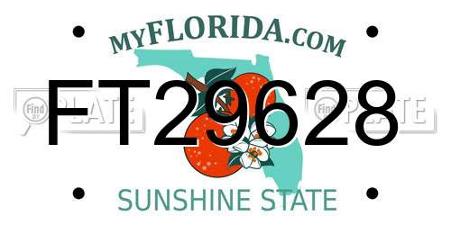 FT29628 Florida License Plate