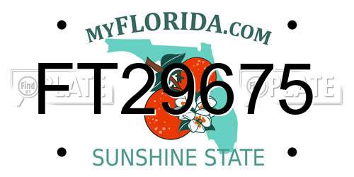FT29675 Florida License Plate