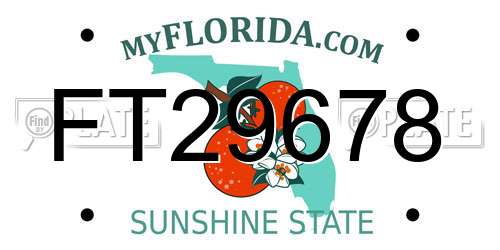 FT29678 Florida License Plate