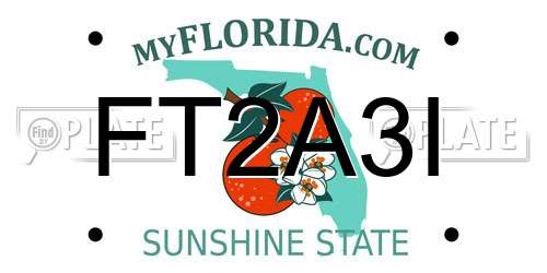 FT2A3I Florida License Plate