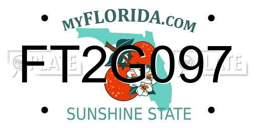 FT2G097 Florida License Plate
