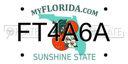 FT4A6A Florida License Plate