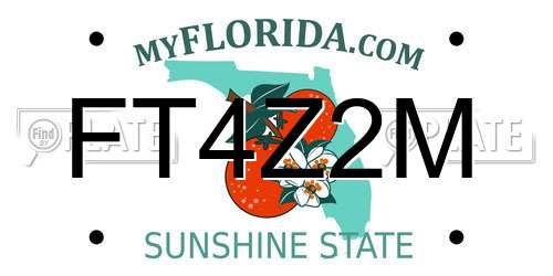 FT4Z2M Florida License Plate